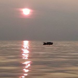 Meet your Posher, Bruce